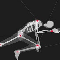 http://up.funload.ir/up/funload/Game/online/The-skeleton/skeleton.png